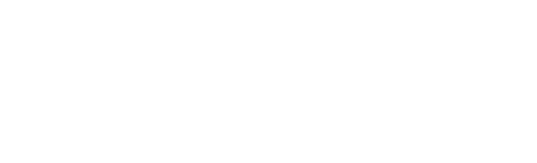 Paula Mollo Florería
